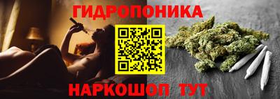 PSILOCYBIN Камышлов