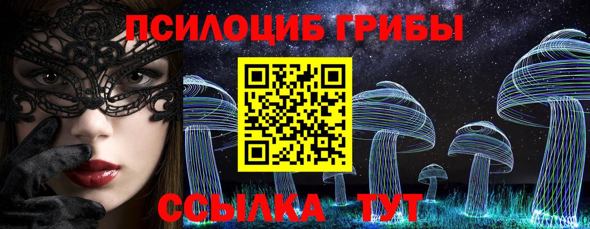Псилоцибиновые грибы мухоморы  Вход с VPN  купить наркотик  Дятьково 