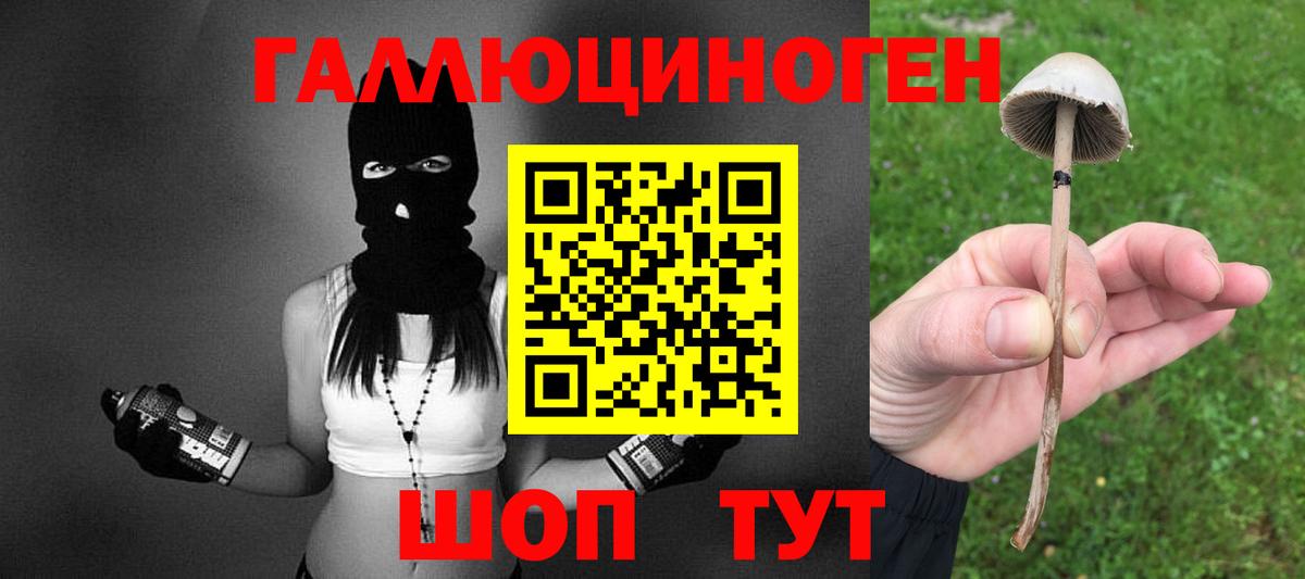 Галлюциногенные грибы прущие грибы Дятьково