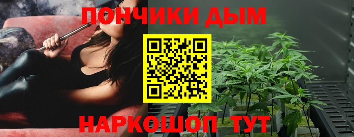 Марихуана SATIVA & INDICA  Конопля Amnesia  Дятьково  Каннабис семена  Вход с VPN  Каннабис VHQ 